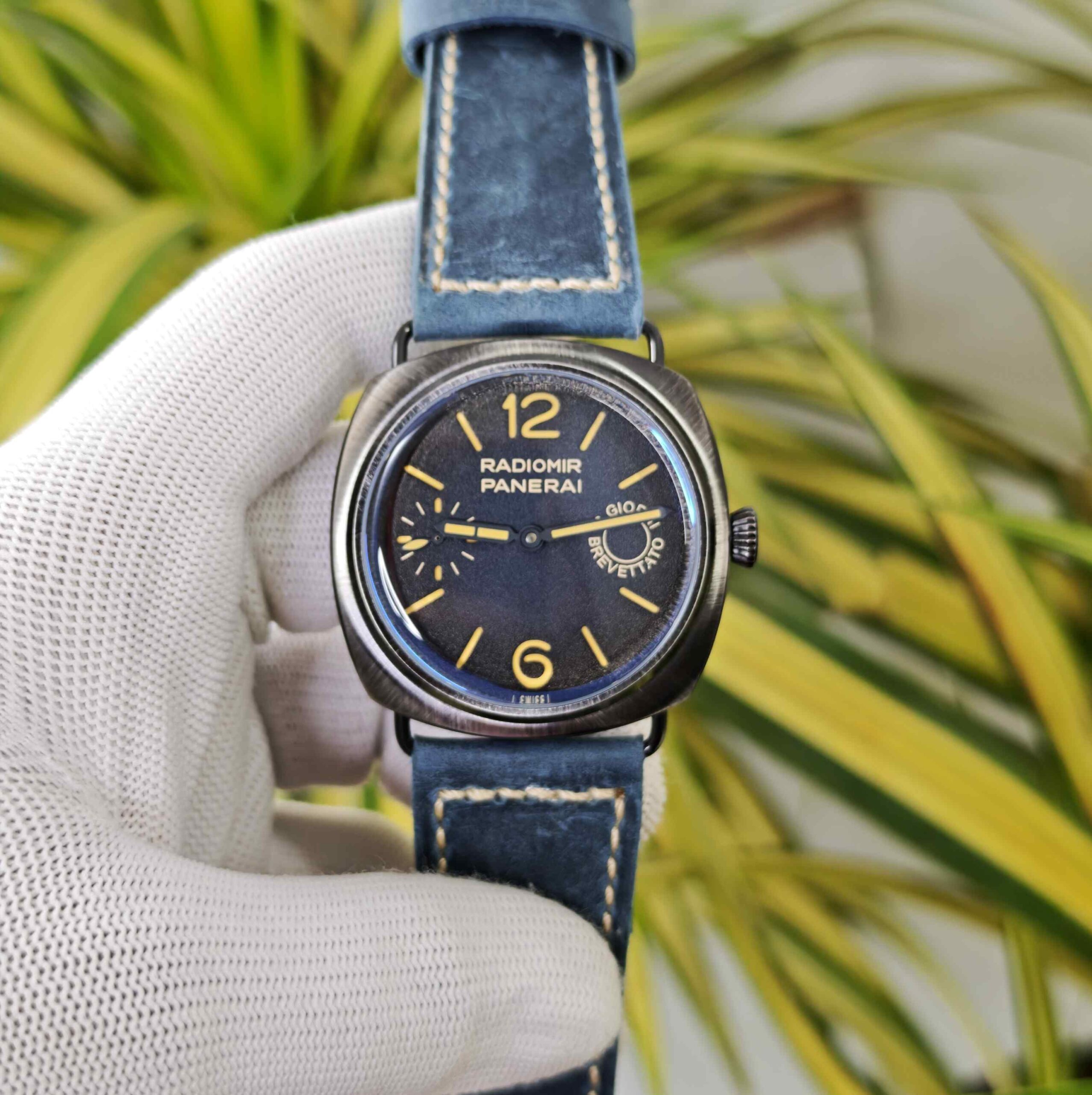 Luminor Panerai Radiomir Steel Blue Dial