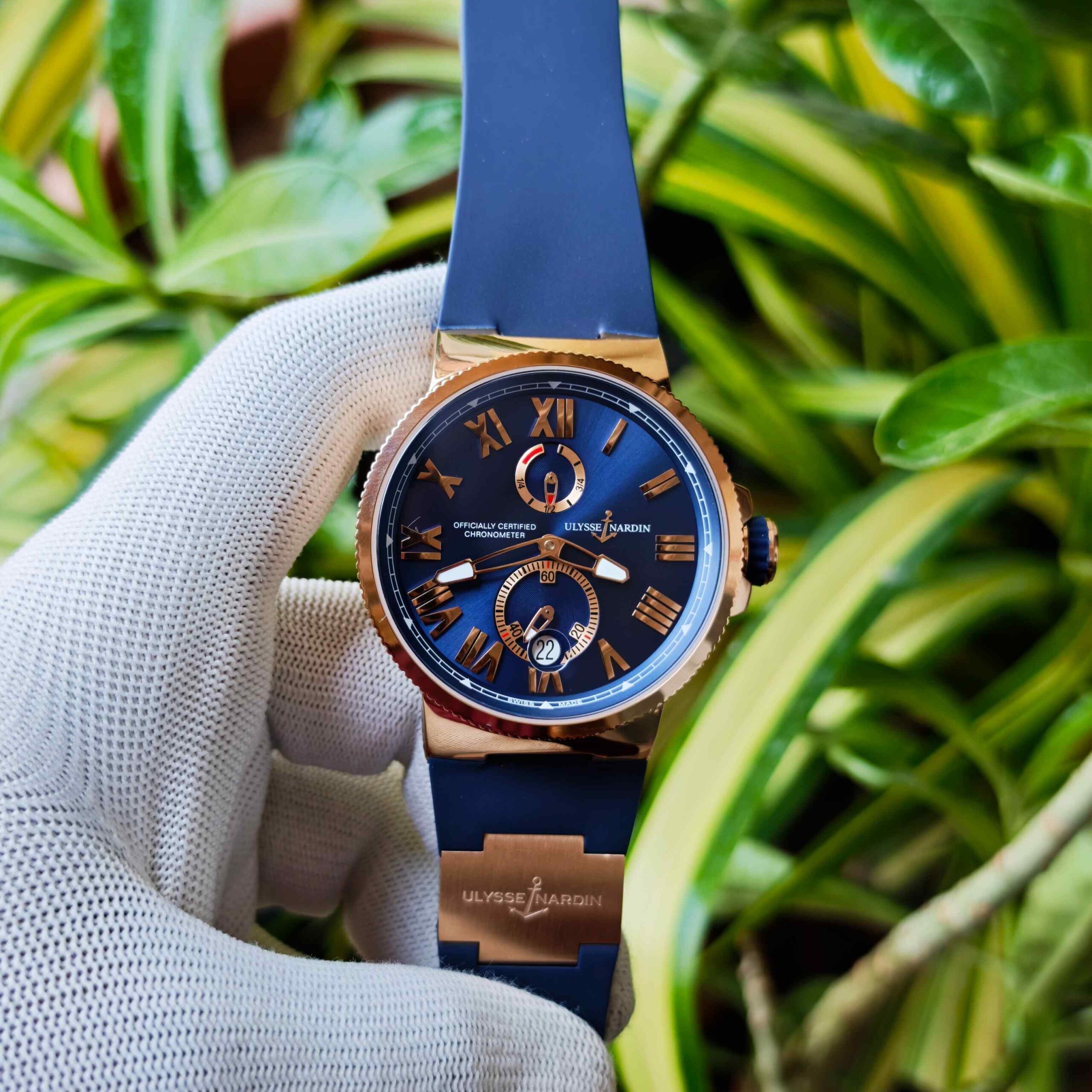 Ulysse Nardin Marine Chronometer Rose Gold Blue Dial