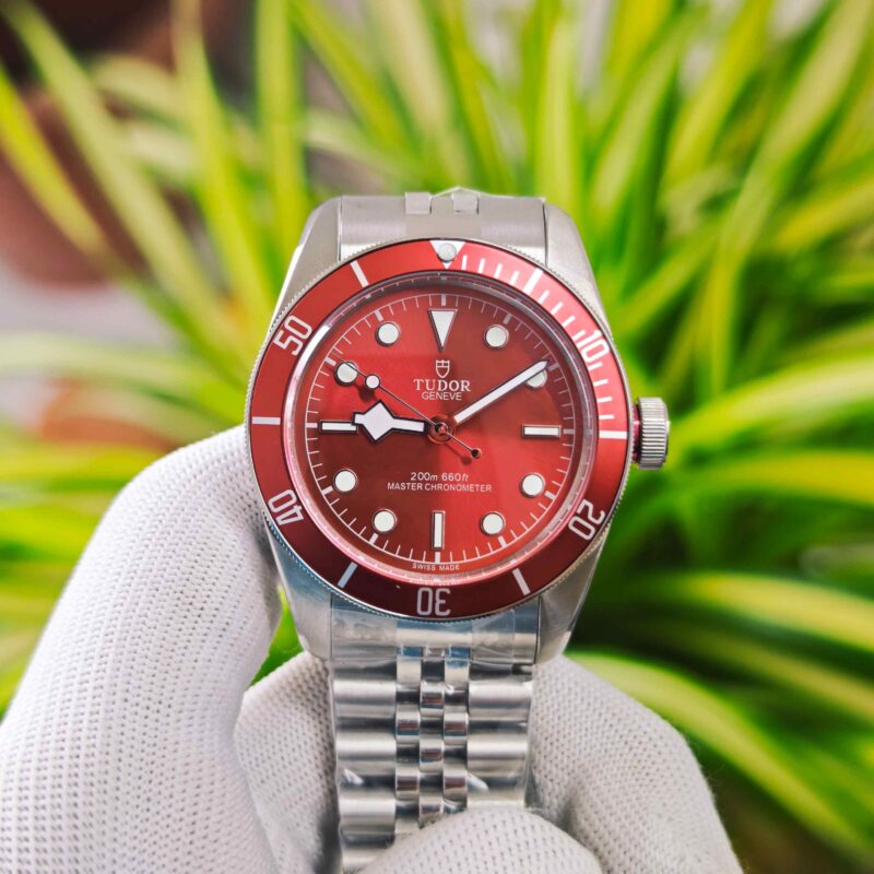 Tudor Black Bay Heritage Jublie Red Dial